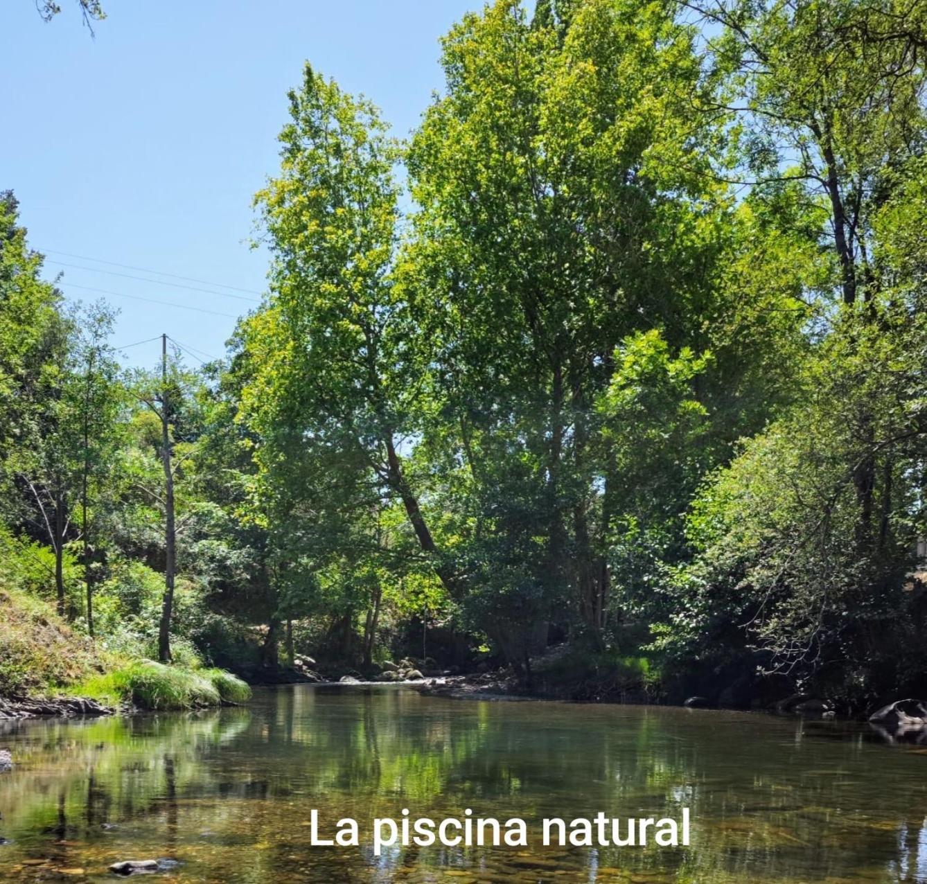 El Nial De Los Pinos Ojedo Zewnętrze zdjęcie